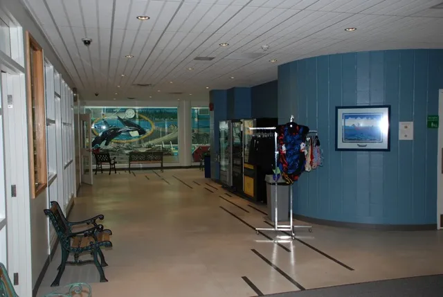 Ravensong Aquatic Centre Renewal in Parksville, photo 27