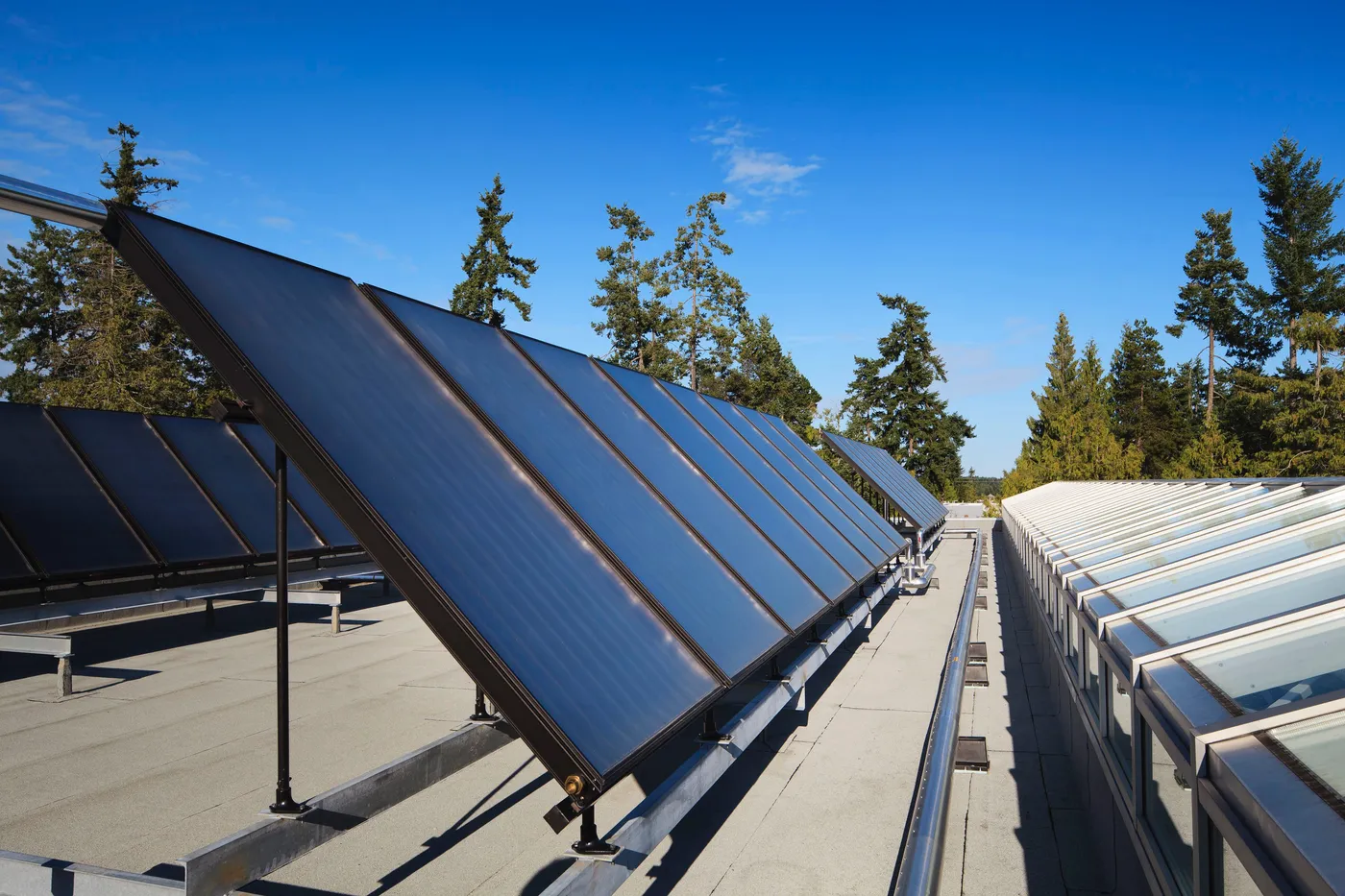 Ravensong Aquatic Centre Renewal in Parksville, photo 37